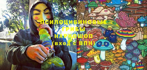 прущий лед Богородицк